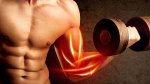 Fit and muscular man using Anatomy-Based Bicep Exercises to build bigger bicep muscles