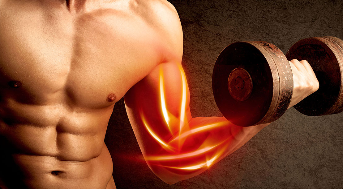 Fit and muscular man using Anatomy-Based Bicep Exercises to build bigger bicep muscles